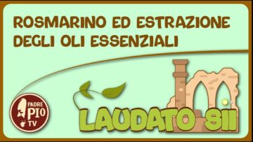 Rosmarino Ed Estrazione Di Oli Essenziali (Laudato Sii 13 Marzo 2022)