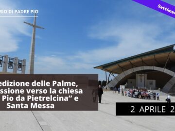 Benedizione Delle Palme, Processione E Santa Messa – 2 Aprile 2023 (fr. Pasquale Cianci)