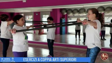 Esercizi A Coppia Arti Superiori (un Giorno Un Allenamento 20 Aprile)