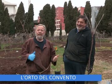 Lorto Del Convento (Un Giorno Un Fiore Di Padre Rinaldo 1 Aprile 2023)