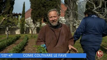 Come Coltivare Le Fave (Un Giorno Un Fiore 6 Maggio)