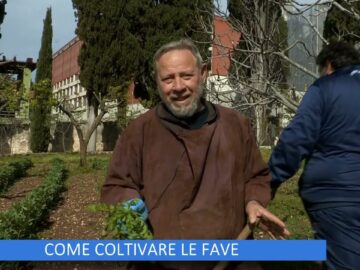 Come Coltivare Le Fave (Un Giorno Un Fiore 6 Maggio)