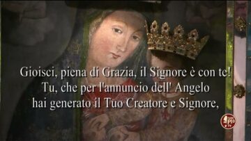 Omaggio Floreale: Donato Cassano ( 24 Maggio)