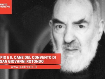 Padre Pio E Il Cane Del Convento Di San Giovanni Rotondo