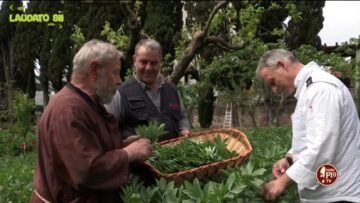Ricette Con Le Foglie Di Fave E Fiori Di Piselli Dallorto Del Convento (LAUDATO SII 14maggio2023)