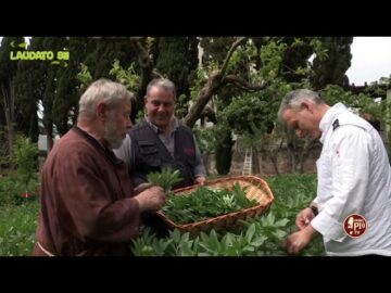 Ricette Con Le Foglie Di Fave E Fiori Di Piselli Dallorto Del Convento (LAUDATO SII 14maggio2023)