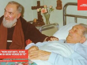 Padre Pio: Non Agitarti, Sono Predilezioni Di Gesù Verso Di Te