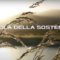 La Regola Della Sostenibilità