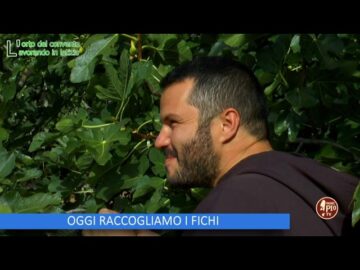 Oggi Raccogliamo I Finocchi (LOrto Del Convento 7 Ottobre 2023)