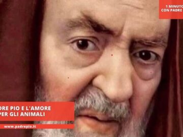 Padre Pio E Lamore Per Gli Animali