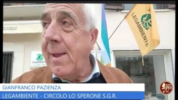 Giornata Mondiale Dell’albero 2023