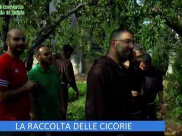 LA RACCOLTA DELLE CICORIE (LOrto Del Convento 18 Novembre 2023)