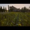 Siena, Capitale Del Mondo Dell’immaginazione (Just Today 30 Ottobre 2023)