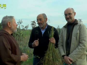 Condire La Muscisca Di Pecora Con Semi Di Finocchio (Laudato Sii 17 Dicembre 2023)