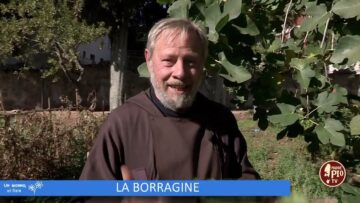 LA BORRAGINE (Lorto Del Convento 16 Dicembre 2023)
