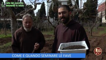 Come E Quando Seminare Le Fave (LOrto Del Convento 2 Marzo 2024)