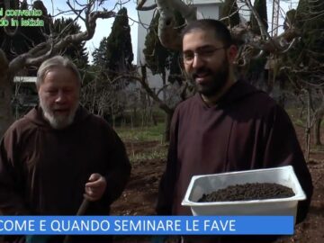 Come E Quando Seminare Le Fave (LOrto Del Convento 2 Marzo 2024)