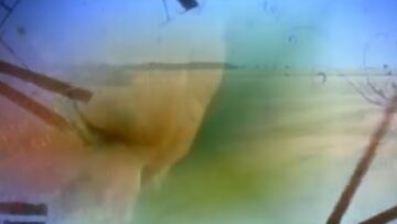 Just Today 13 Febbraio 2024