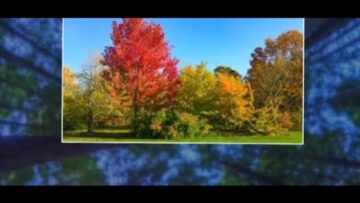 Just Today 21 Novembre 2023