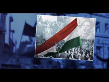 Just Today 4 Novembre 2023