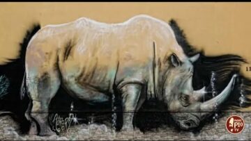 Stramurales Di Stornara Tappa Delle “Giornate Di Primavera” Del FAI (Just Today 23 Marzo 2024)