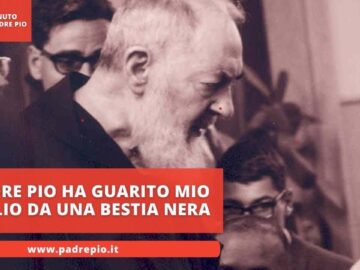 Padre Pio Ha Guarito Mio Figlio Da Una Bestia Nera