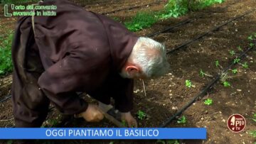 OGGI PIANTIAMO IL BASILICO (LOrto Del Convento 29 Giugno 2024)
