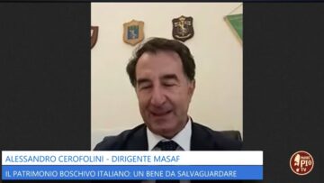 Il Patrimonio Boschivo Italiano: Un Bene Da Salvaguardare
