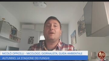 Autunno: La Stagione Di Funghi (Just Today 30 Settembre 2024)