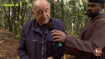 Alla Ricerca Dei Funghi Boletus Aereus, Comunemente Chiamati Porcini (17 Novembre 2024)