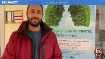 Festa Dell’Albero 2024