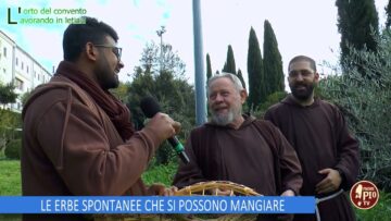 LE ERBE SPONTANEE CHE SI POSSONO MANGIARE (Lorto Del Convento 7 Dicembre 2024)