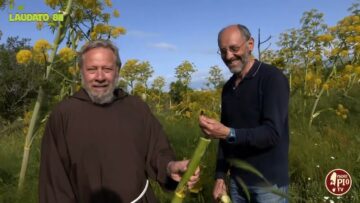 Ferole E Furrizzi, Dalla Pianta Alla Realizzazione Degli Sgabelli Fatti A Mano – 16 Febbraio 2025