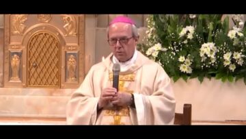 Nella Città Di San Pio In Ricordo Di San Camillo De Lellis (L’agenda Del Santuario 07 02)