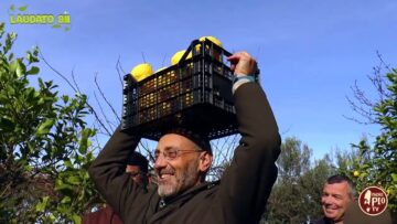 La Raccolta Degli Agrumi Nellorto Del Convento Di Rodi Garganico (Laudato Sii 2 Marzo 2025)