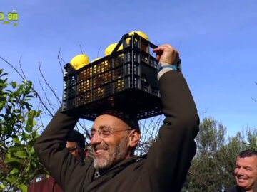 La Raccolta Degli Agrumi Nellorto Del Convento Di Rodi Garganico (Laudato Sii 2 Marzo 2025)