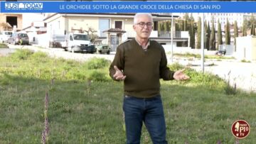 Le Orchidee All’ombra Della Grande Croce Della Chiesa Di San Pio Da Pietrelcina (22 Marzo 2025)
