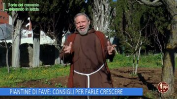 PIANTINE DI FAVE, CONSIGLI PER FARLE CRESCERE (LOrto Del Convento 1 Marzo 2025)