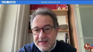 World Wildlife Day