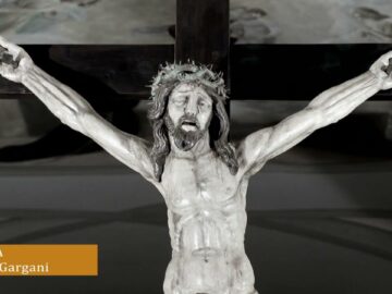 Chiamati Da Padre Pio – Verso Gli Altari 19 Maggio 2025
