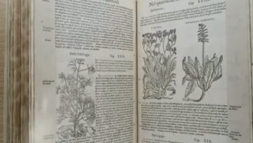 Laudato Sie: Natura E Scienza (Just Today 21 Aprile 2025)