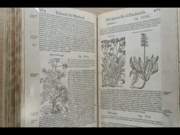 Laudato Sie: Natura E Scienza (Just Today 21 Aprile 2025)