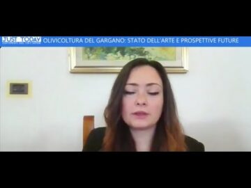 “L’olivicoltura Del Gargano: Stato Dell’arte E Prospettive Future” (Just Today 21 Aprile 2025)