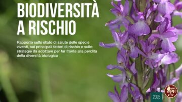 Giornata Mondiale Della Biodiversità (La Regola Della Sostenibilità 5 Giugno 2025)