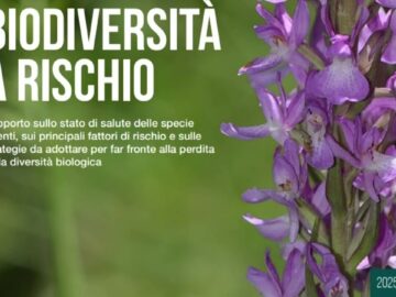 Giornata Mondiale Della Biodiversità (La Regola Della Sostenibilità 5 Giugno 2025)