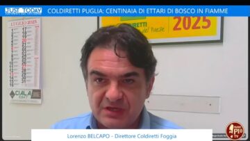 Coldiretti Puglia: Centinaia Di Ettari Di Bosco In Fiamme (Just Today 23 Luglio 2025)