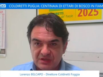 Coldiretti Puglia: Centinaia Di Ettari Di Bosco In Fiamme (Just Today 23 Luglio 2025)