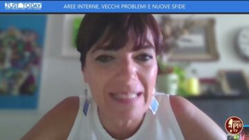 Aree Interne, Vecchi Problemi E Nuove Sfide