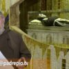 Caro Padre Pio, Ho Paura Di Andare A Scuola Perché Mi Bullizzano