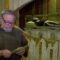Caro Padre Pio ,sto vivendo una grave crisi matrimoniale